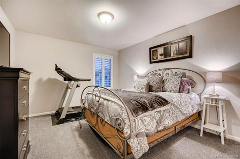 20908 E 51st Pl, Denver, CO 80249 photo 27
