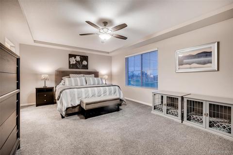 20908 E 51st Pl, Denver, CO 80249 photo 24