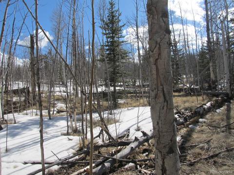 2845 Mcdowell Dr, Como, CO 80432 photo 3
