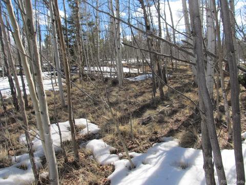 2845 Mcdowell Dr, Como, CO 80432 photo 2