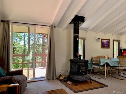 3116 Basin Dr, Cotopaxi, CO 81223 photo 15