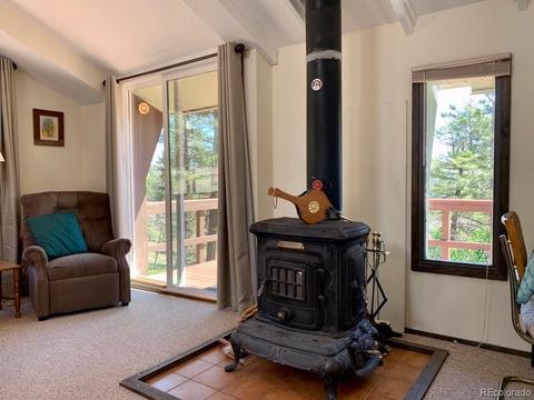 3116 Basin Dr, Cotopaxi, CO 81223 photo 12