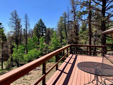 3116 Basin Dr, Cotopaxi, CO 81223 photo 6