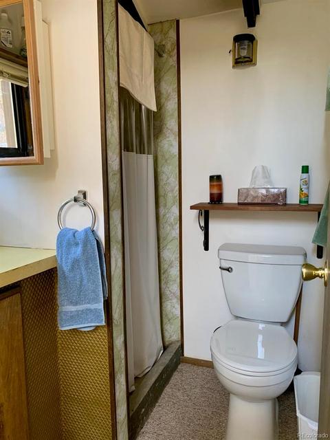 3116 Basin Dr, Cotopaxi, CO 81223 photo 20