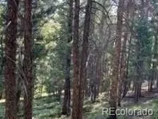 000 Beaver Ln, Grant, CO 80448