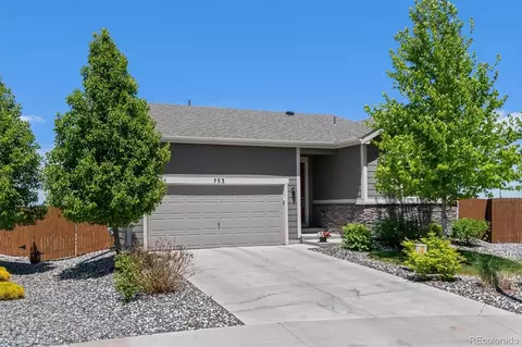 703 Pine Warbler Ct, Castle Rock, CO 80104