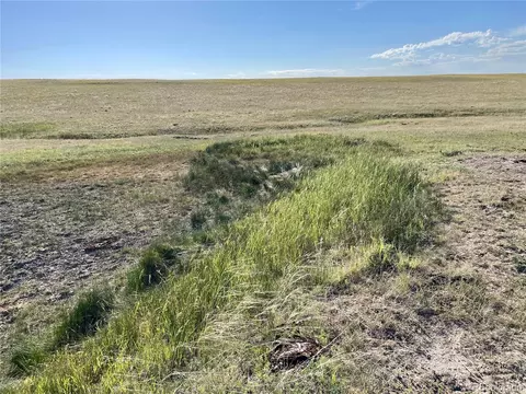 Carpenter Road, Peyton, CO 80831 photo 18