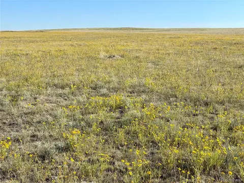 Carpenter Road, Peyton, CO 80831 photo 2