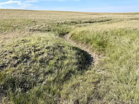 Carpenter Road, Peyton, CO 80831 photo 14