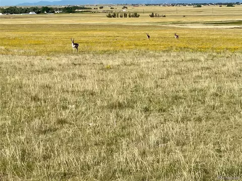 Carpenter Road, Peyton, CO 80831 photo 10