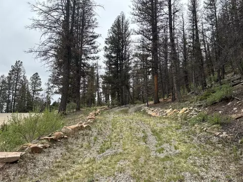 225 Trout Creek Ln, Fairplay, CO 80440