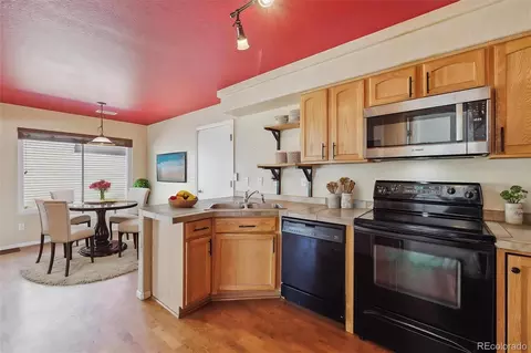 20535 E 47th Ave, Denver, CO 80249 photo 4