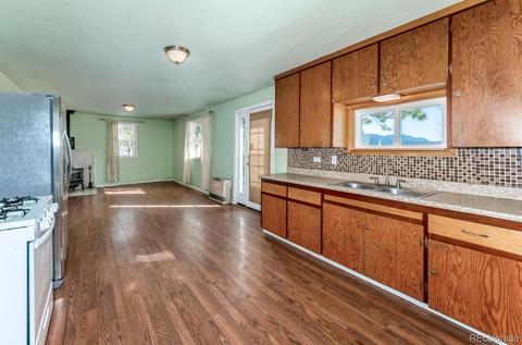 118 Obrien Rd, Bailey, CO 80421 photo 5