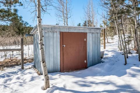 118 Obrien Rd, Bailey, CO 80421 photo 18