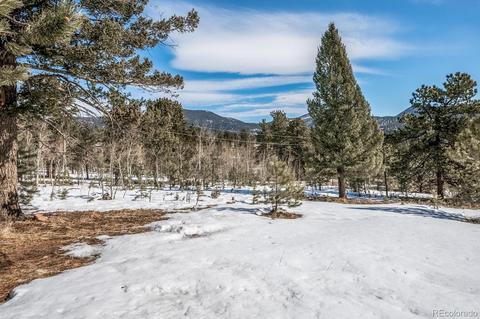 118 Obrien Rd, Bailey, CO 80421 photo 3