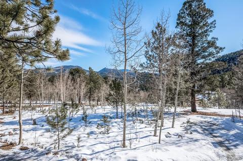 118 Obrien Rd, Bailey, CO 80421 photo 4
