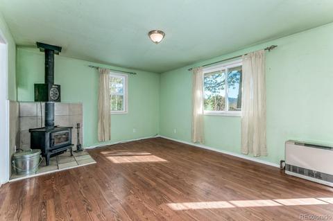 118 Obrien Rd, Bailey, CO 80421 photo 8