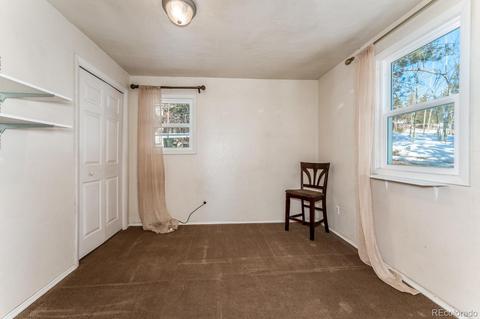 118 Obrien Rd, Bailey, CO 80421 photo 10