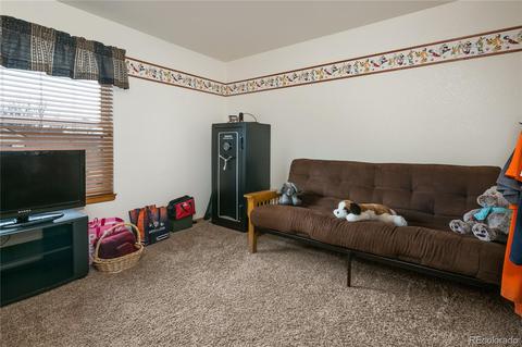 2844 E 116th Pl, Thornton, CO 80233 photo 17