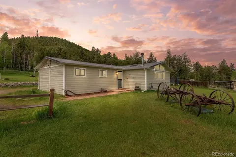 795 Burland Dr, Bailey, CO 80421 photo 3