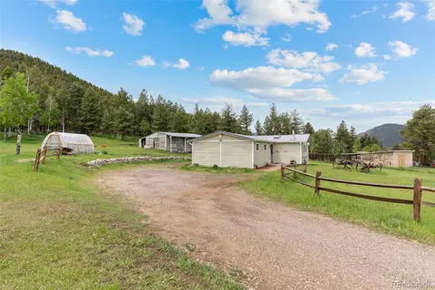 795 Burland Dr, Bailey, CO 80421 photo 20