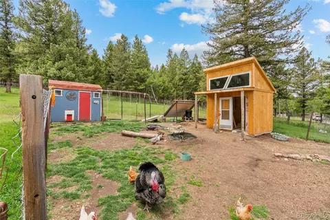 795 Burland Dr, Bailey, CO 80421 photo 28