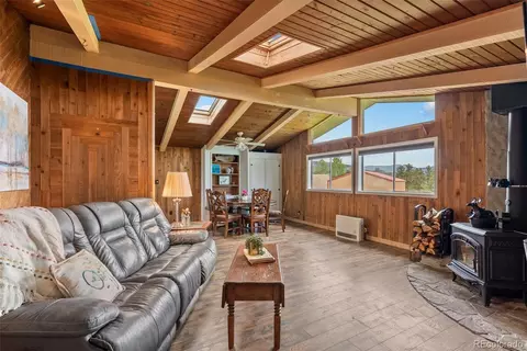 795 Burland Dr, Bailey, CO 80421 photo 6