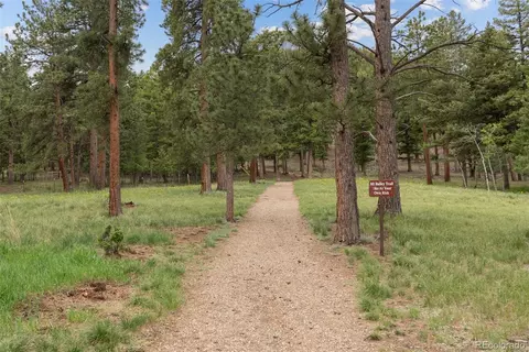 795 Burland Dr, Bailey, CO 80421 photo 38