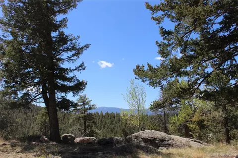 Other - 234 Panorama Dr, Bailey, CO 80421 photo 10 of 13