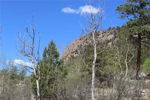 Other - 234 Panorama Dr, Bailey, CO 80421 photo 2 of 13