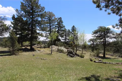 Other - 234 Panorama Dr, Bailey, CO 80421 photo 13 of 13