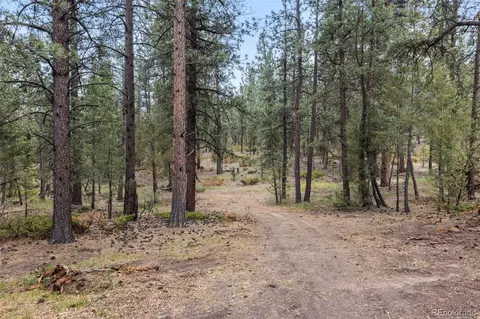 Other - 1734 Mount Evans Blvd, Pine, CO 80470 photo 15 of 17