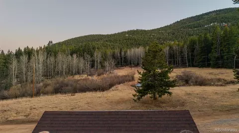 Other - 9719 Beaver Pond, Conifer, CO 80433 photo 29 of 31