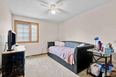 19385 E 41st Pl, Denver, CO 80249 photo 19