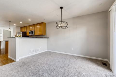 8733 E 29th Pl, Denver, CO 80238 photo 8