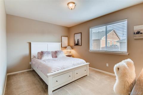 3376 E 141st Pl, Thornton, CO 80602 photo 21