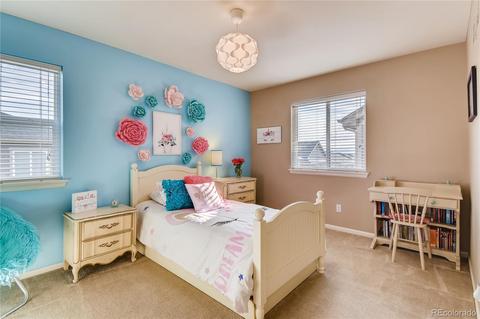 3376 E 141st Pl, Thornton, CO 80602 photo 20