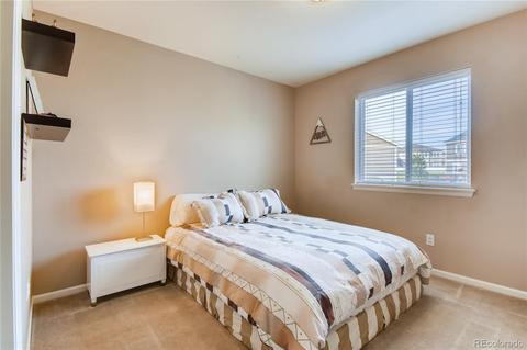 3376 E 141st Pl, Thornton, CO 80602 photo 22
