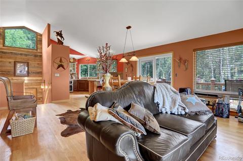 41 Juno Trl, Evergreen, CO 80439 photo 6