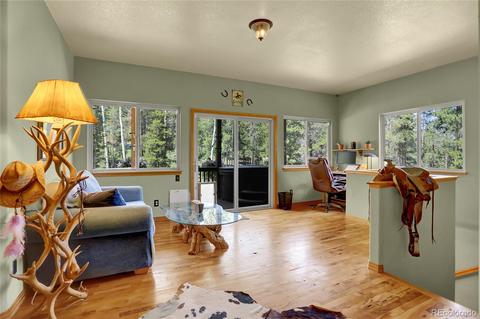 41 Juno Trl, Evergreen, CO 80439 photo 20