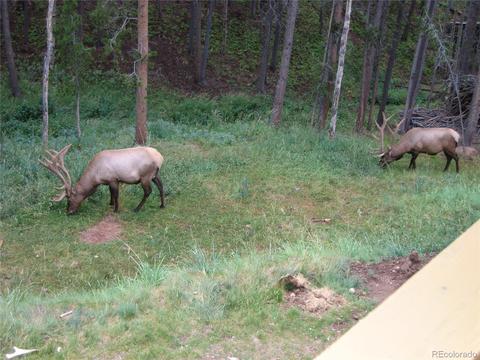 41 Juno Trl, Evergreen, CO 80439 photo 38
