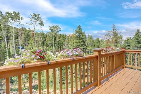 41 Juno Trl, Evergreen, CO 80439 photo 18