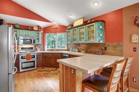 41 Juno Trl, Evergreen, CO 80439 photo 9
