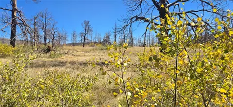 lot1684 Emery Loop, Fort Garland, CO 81133