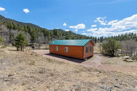 61 Garnet Ln, Lake George, CO 80827