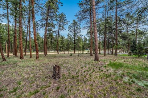 5655 County Road 72, Bailey, CO 80421 photo 29
