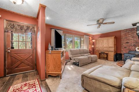5655 County Road 72, Bailey, CO 80421 photo 3