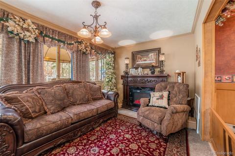 5655 County Road 72, Bailey, CO 80421 photo 11