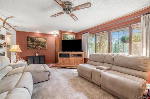5655 County Road 72, Bailey, CO 80421 photo 4