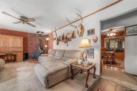 5655 County Road 72, Bailey, CO 80421 photo 2